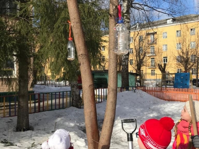 Покорми птичек_3